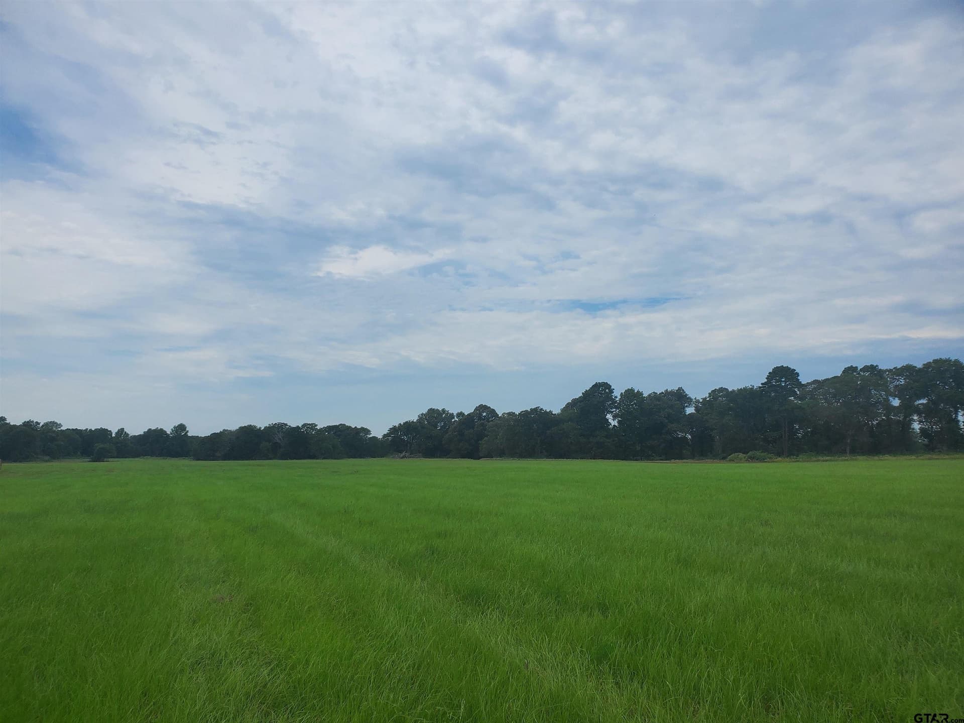 60 acres in Henderson County - photo 7