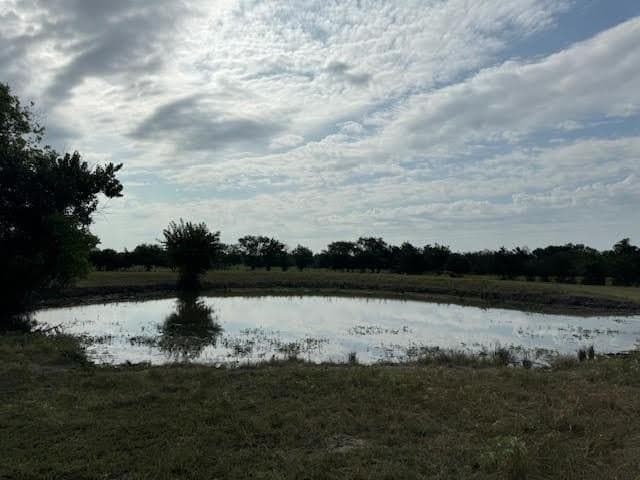 27.5 acres in Rains County - photo 4