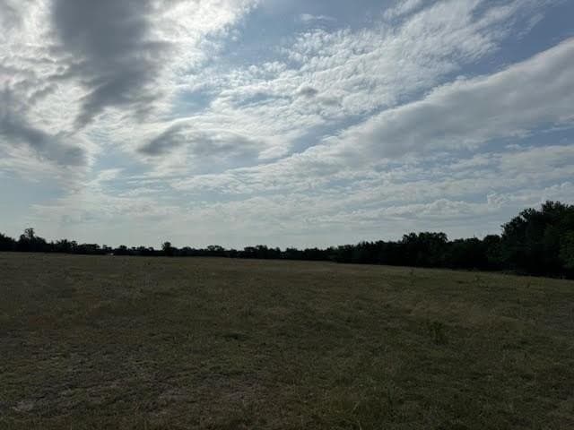 27.5 acres in Rains County - photo 7