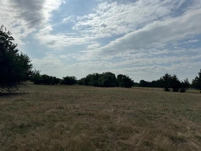 27.5 acres in Rains County - photo 10