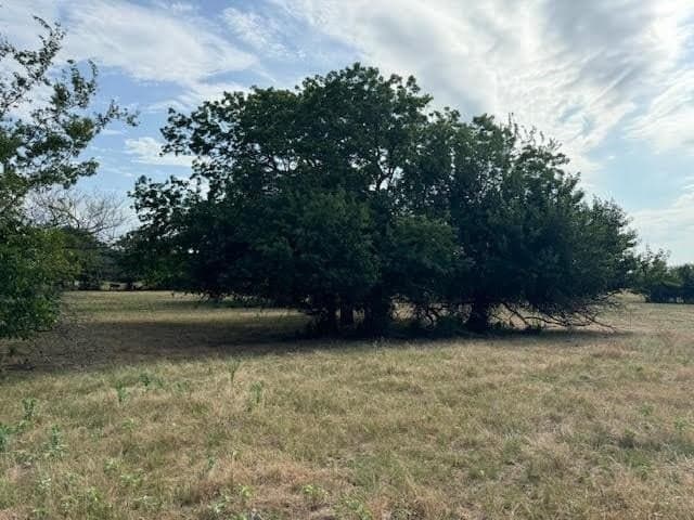 27.5 acres in Rains County - photo 11