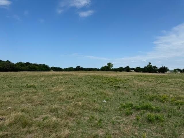 27.5 acres in Rains County - photo 5