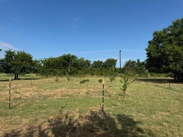 27.5 acres in Rains County - photo 3