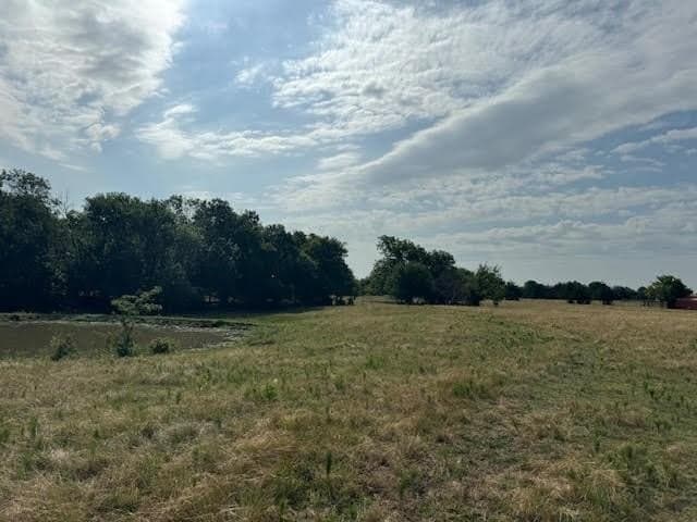 27.5 acres in Rains County - photo 12