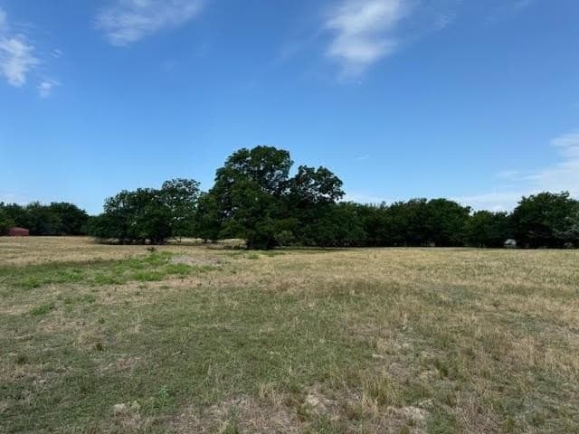 27.5 acres in Rains County - photo 6