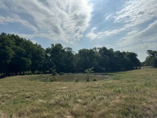 27.5 acres in Rains County - photo 13