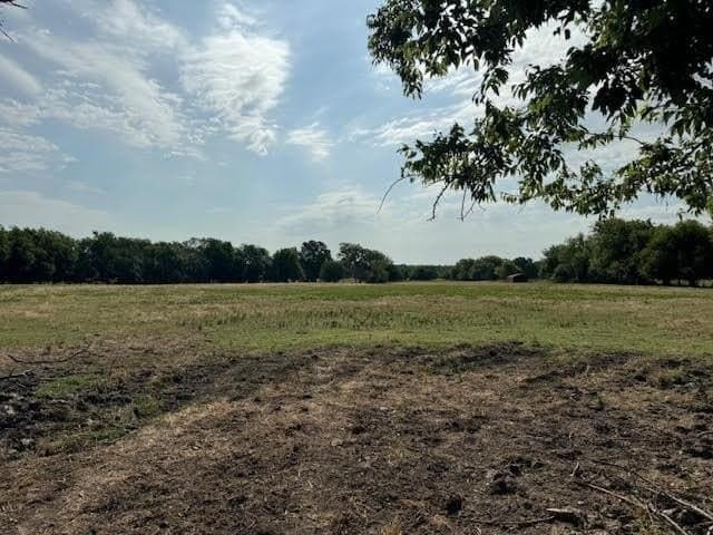 27.5 acres in Rains County - photo 8