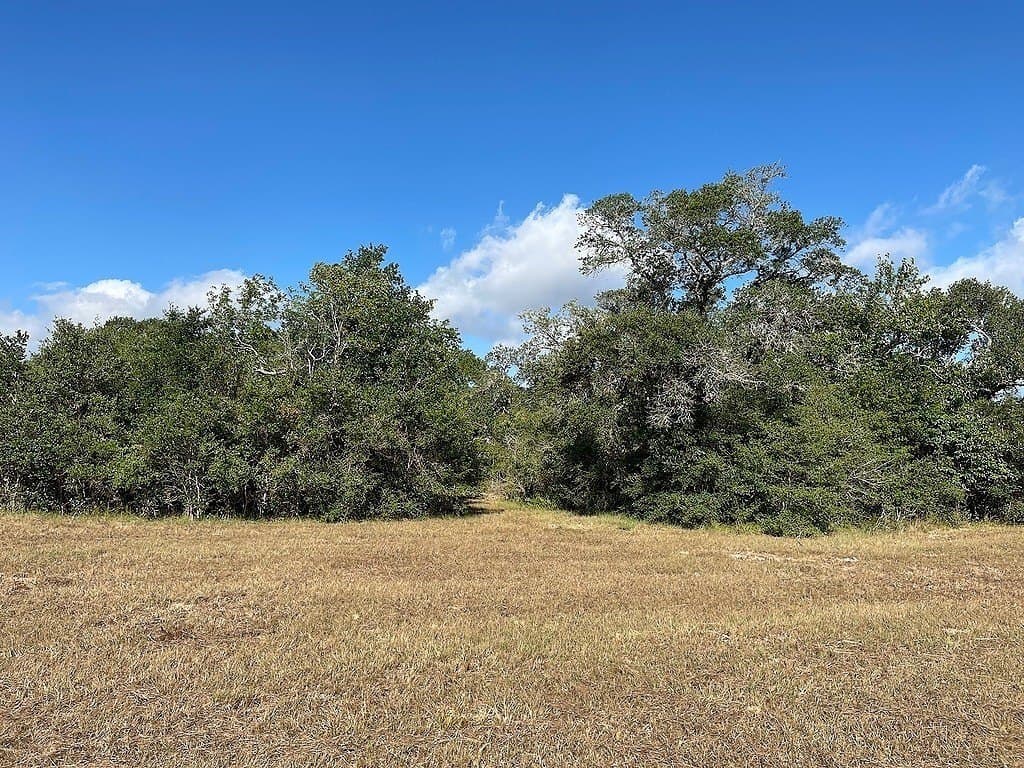 22.87 acres in Colorado County - photo 5