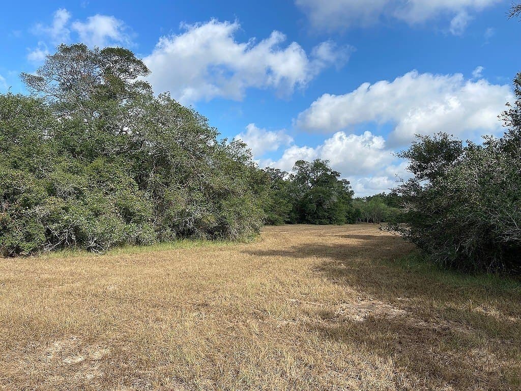 22.87 acres in Colorado County - photo 2