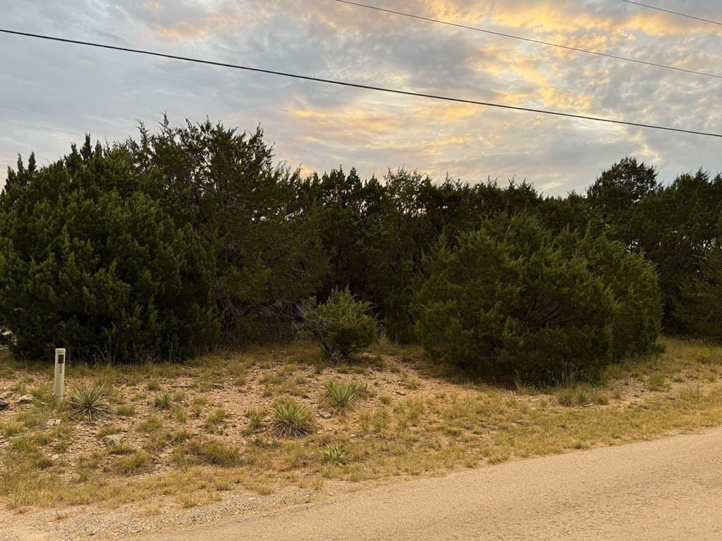 1 acres in Hood County - photo 4
