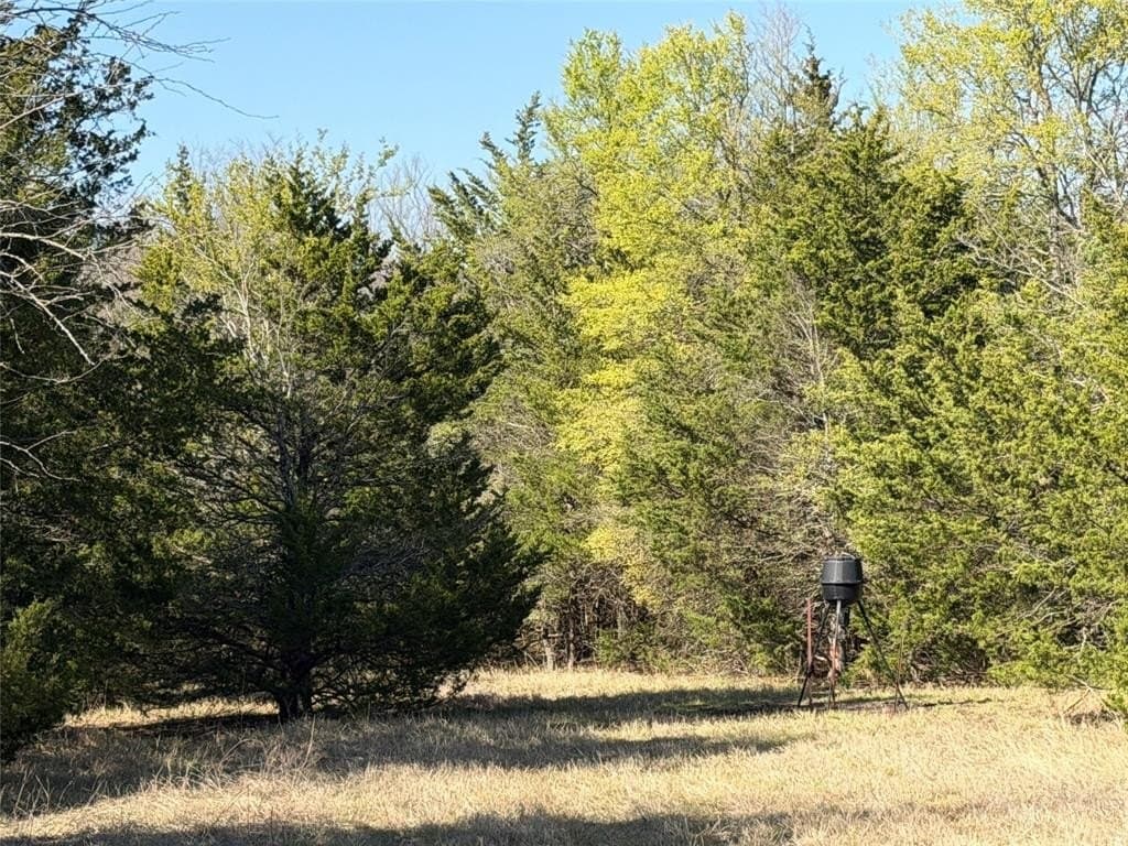 77.03 acres in Grayson County - photo 12