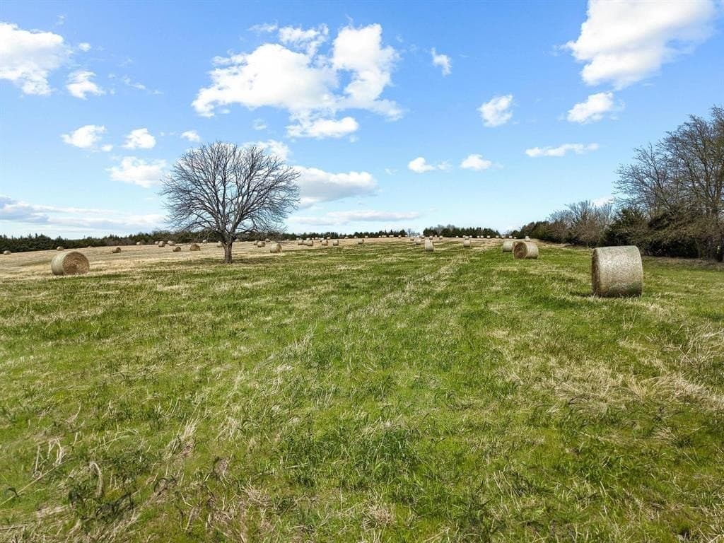 77.03 acres in Grayson County - photo 9