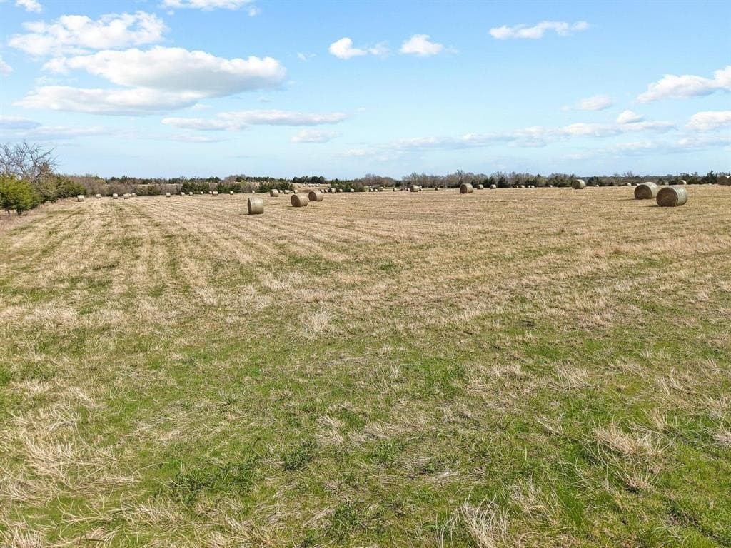 77.03 acres in Grayson County - photo 6