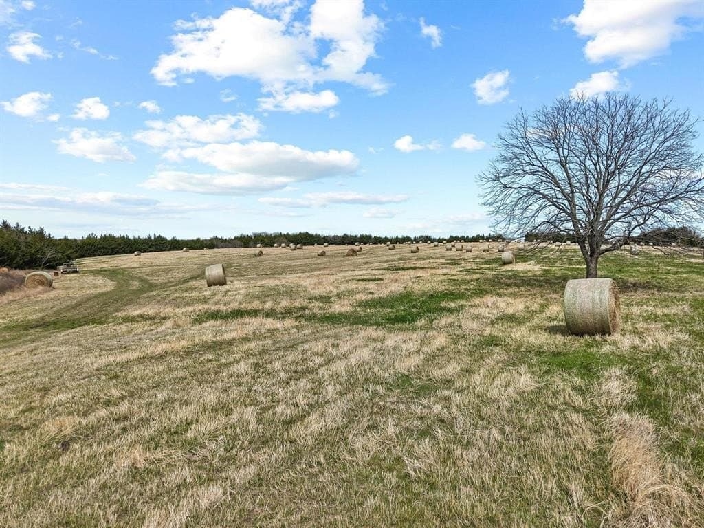 77.03 acres in Grayson County - photo 14