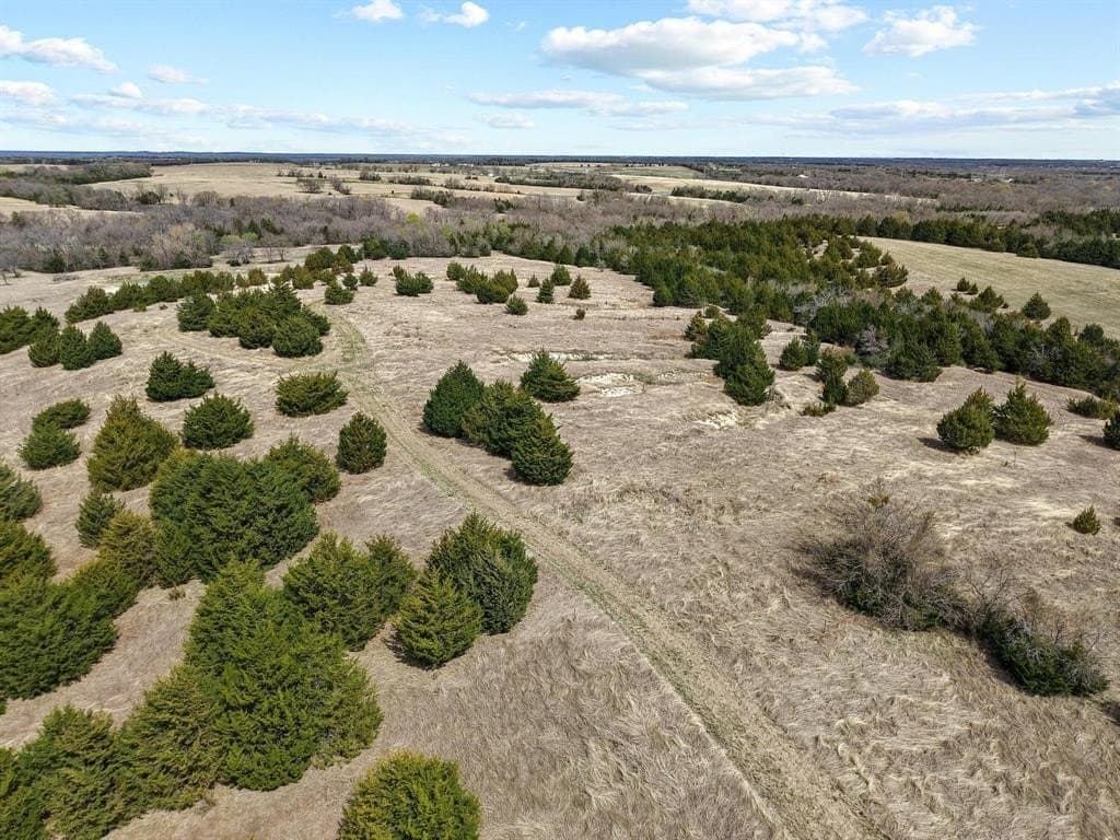 77.03 acres in Grayson County - photo 29