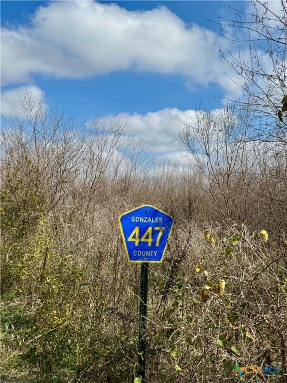 10.18 acres in Gonzales County - photo 33