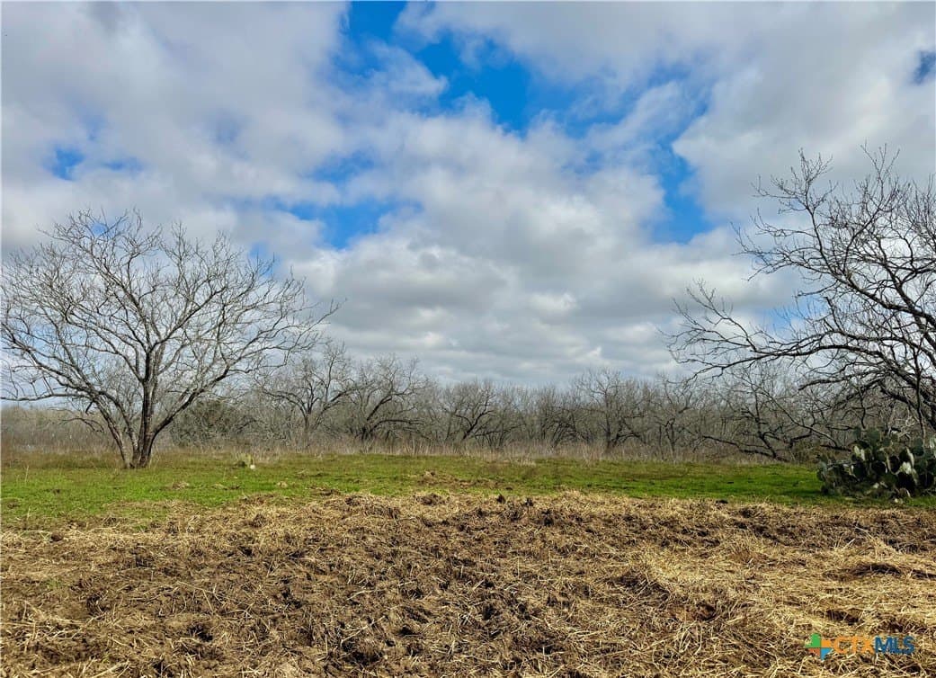 10.18 acres in Gonzales County - photo 11