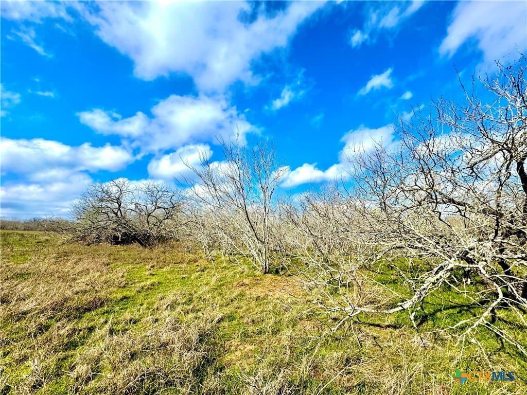 10.18 acres in Gonzales County - photo 20
