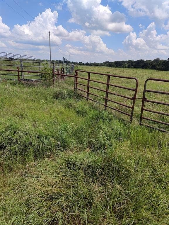 15 acres in Hill County - photo 11