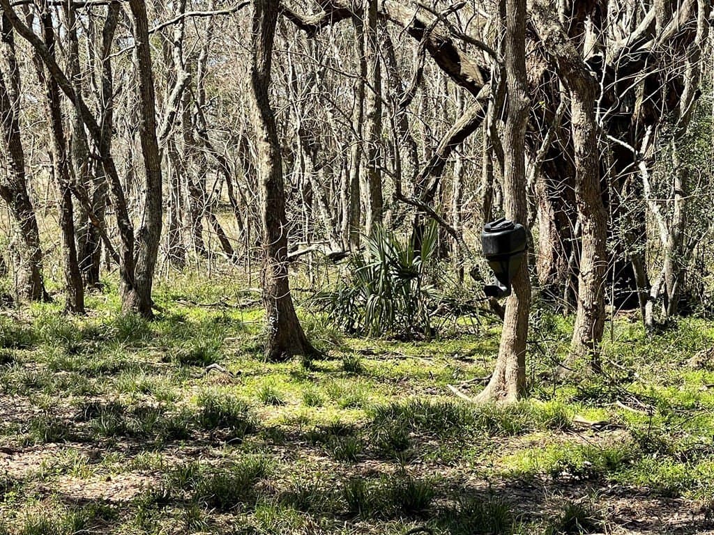 6.36 acres in Texas County - photo 5