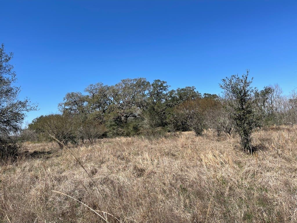 6.36 acres in Texas County - photo 8