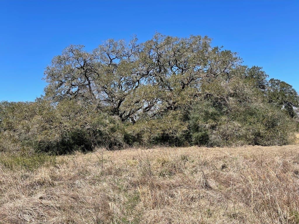 6.36 acres in Texas County - photo 6