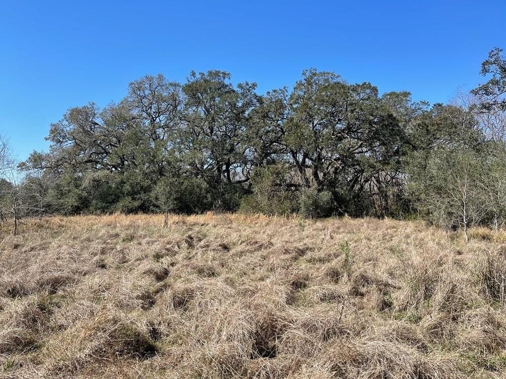 6.36 CR 449/ Armstrong Rd