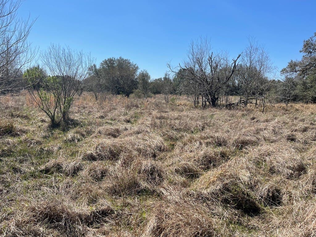 6.36 acres in Texas County - photo 2