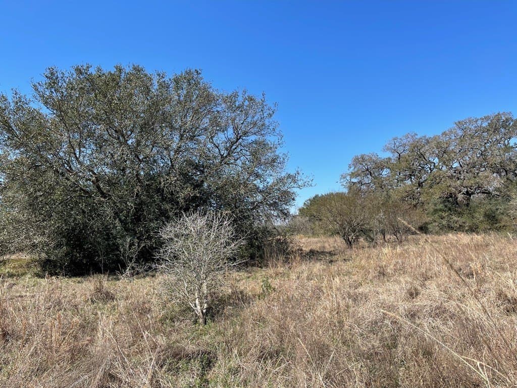 6.36 acres in Texas County - photo 3