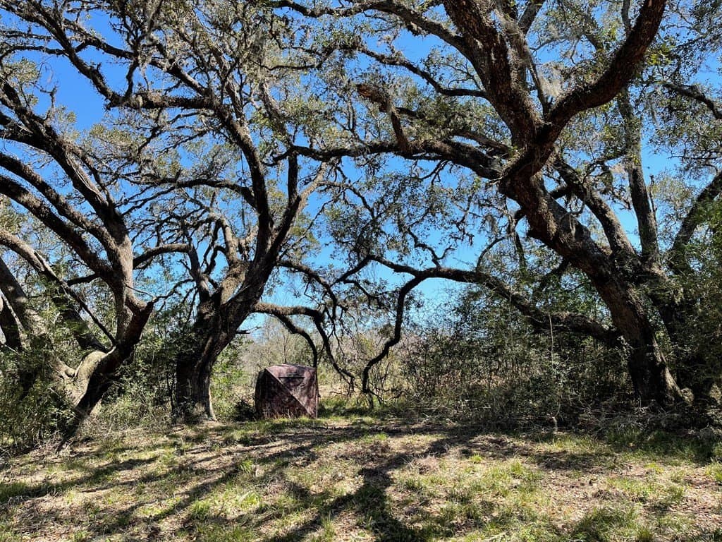 6.36 acres in Texas County - photo 4