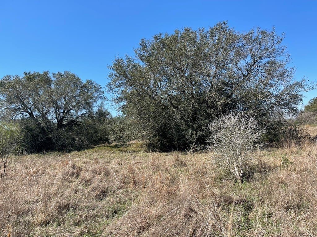 6.36 acres in Texas County - photo 9