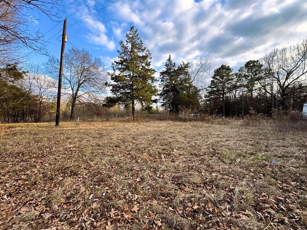 16.45 acres in Titus County - photo 11