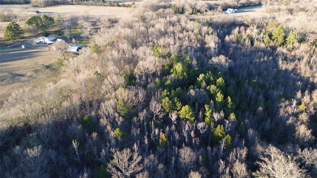 16.45 acres in Titus County - photo 5