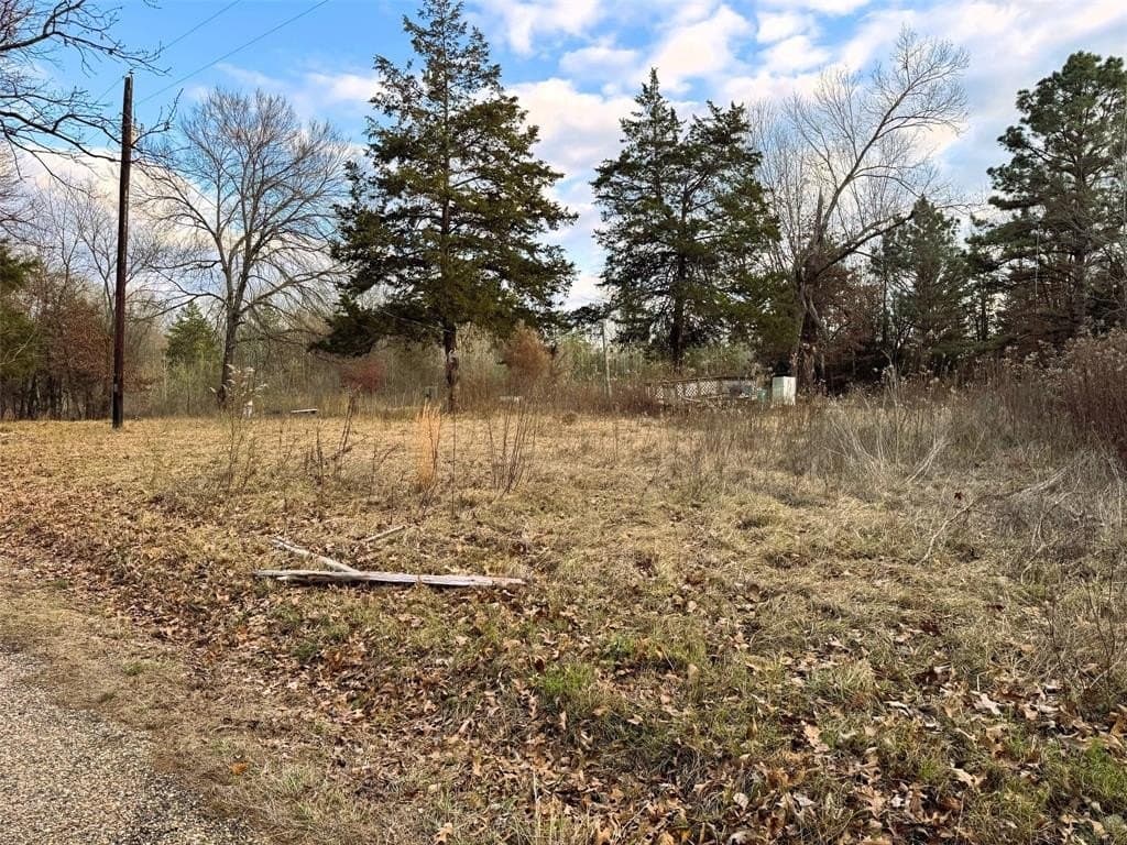 16.45 acres in Titus County - photo 10