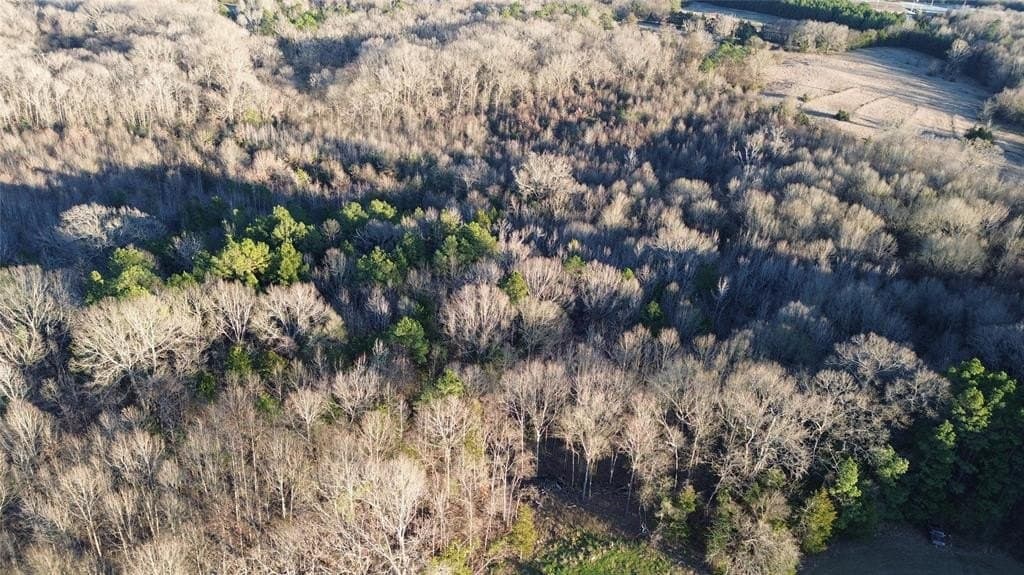16.45 acres in Titus County - photo 8