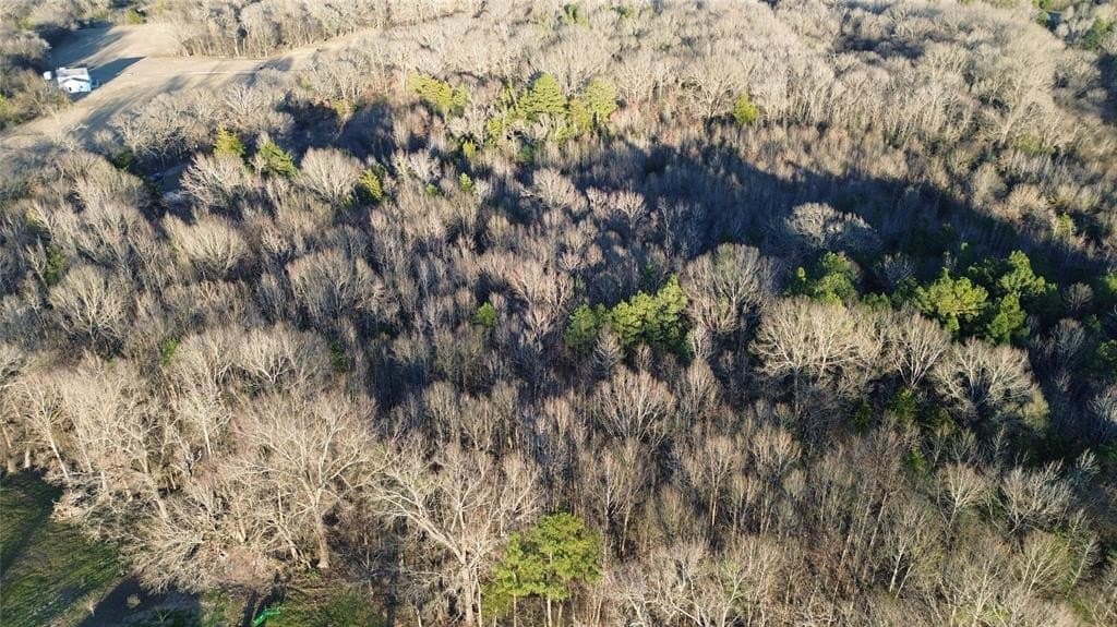 16.45 acres in Titus County - photo 6
