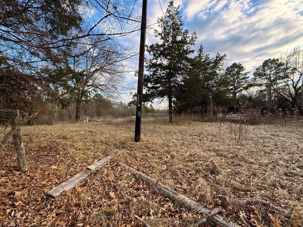 16.45 acres in Titus County - photo 12