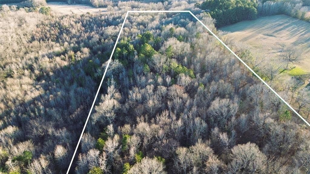 16.45 acres in Titus County - photo 3