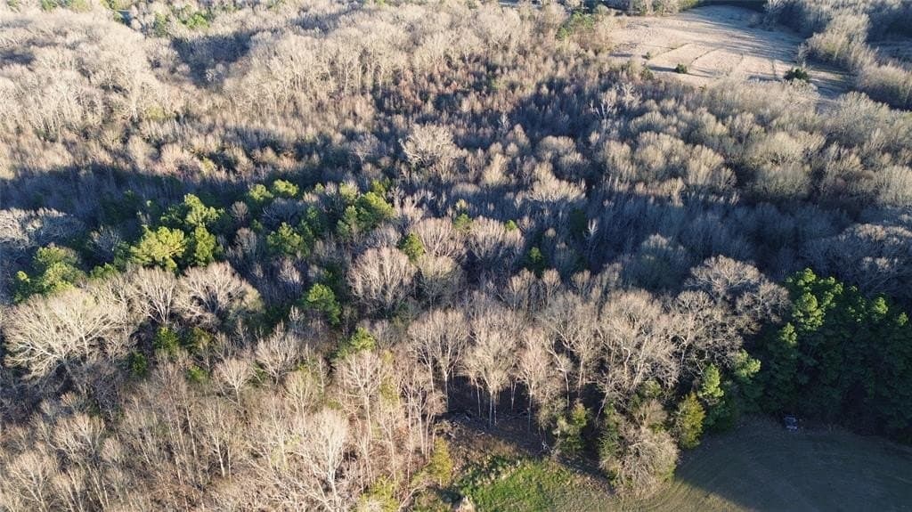 16.45 acres in Titus County - photo 7