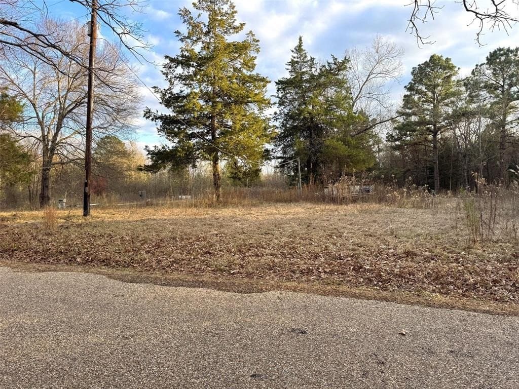 16.45 acres in Titus County - photo 9