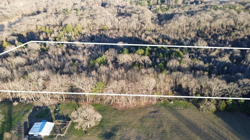 16.45 acres in Titus County - photo 2