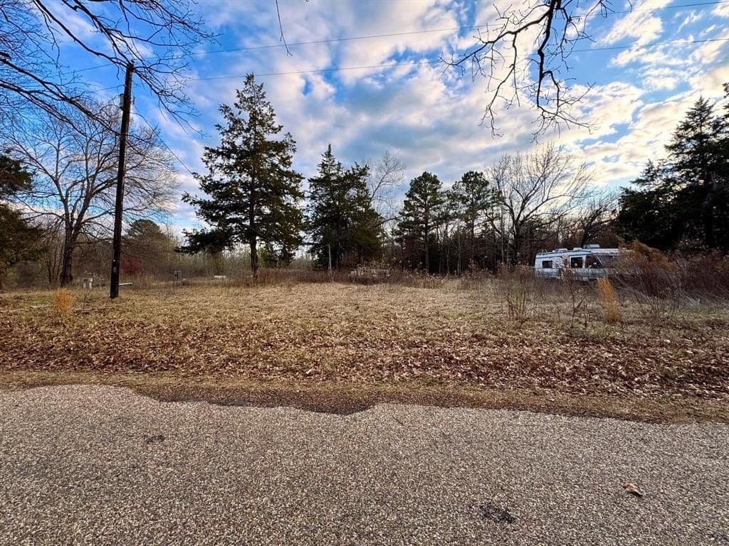 16.45 acres in Titus County - photo 13