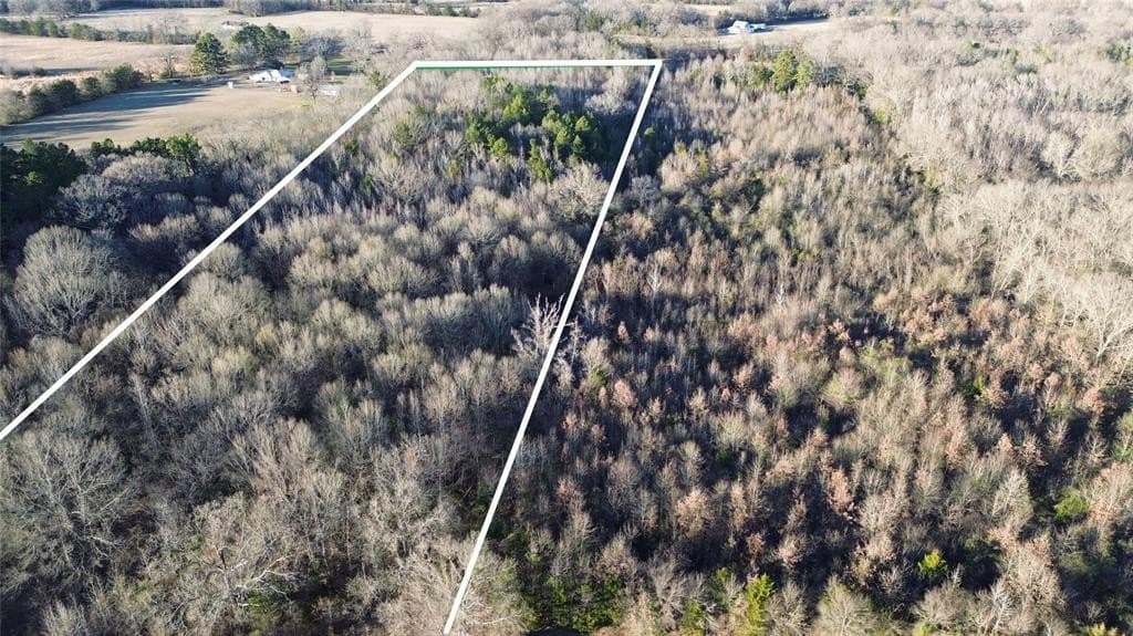 16.45 acres in Titus County - photo 4