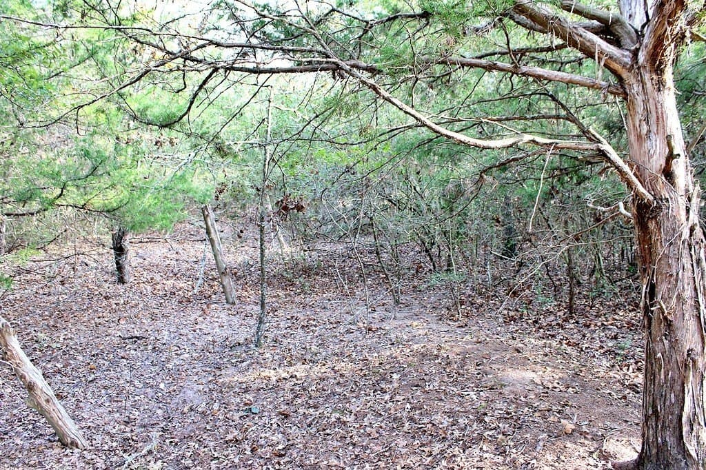 2.17 acres in Fayette County - photo 29