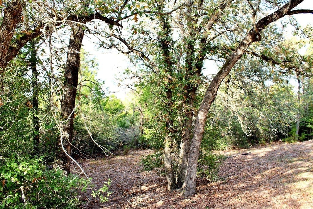 2.17 acres in Fayette County - photo 28