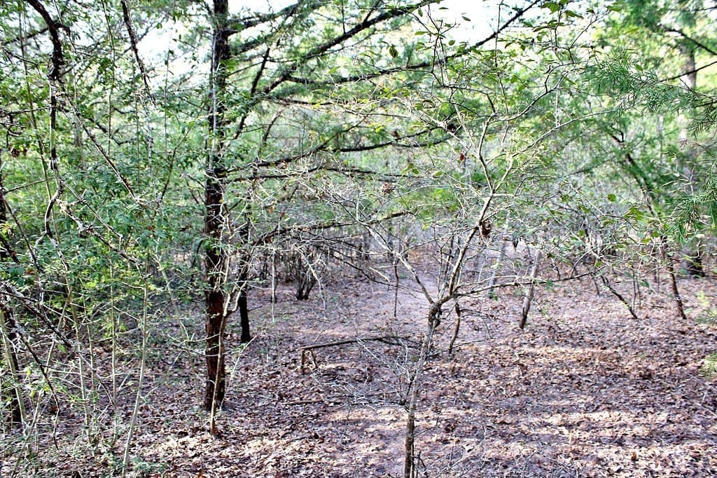 2.17 acres in Fayette County - photo 30