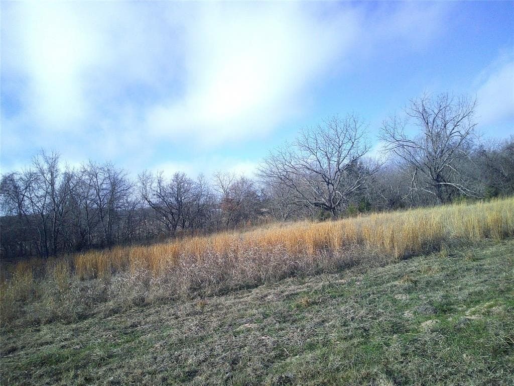 2.85 acres in Montague County - photo 4