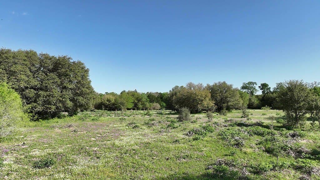 254 acres in Lee County - photo 11