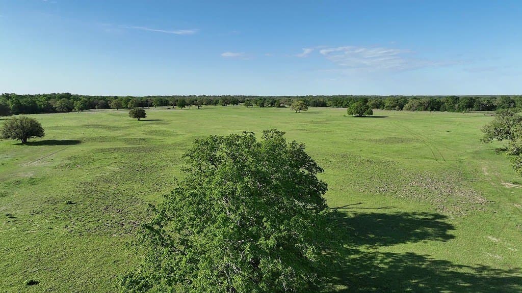 254 acres in Lee County - photo 19
