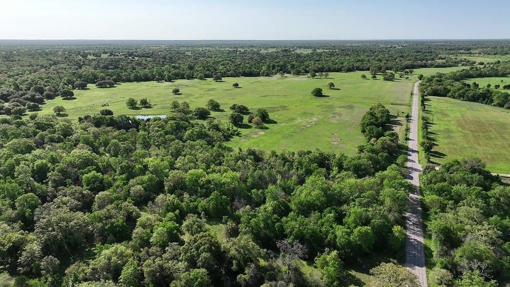 254 acres in Lee County - photo 25